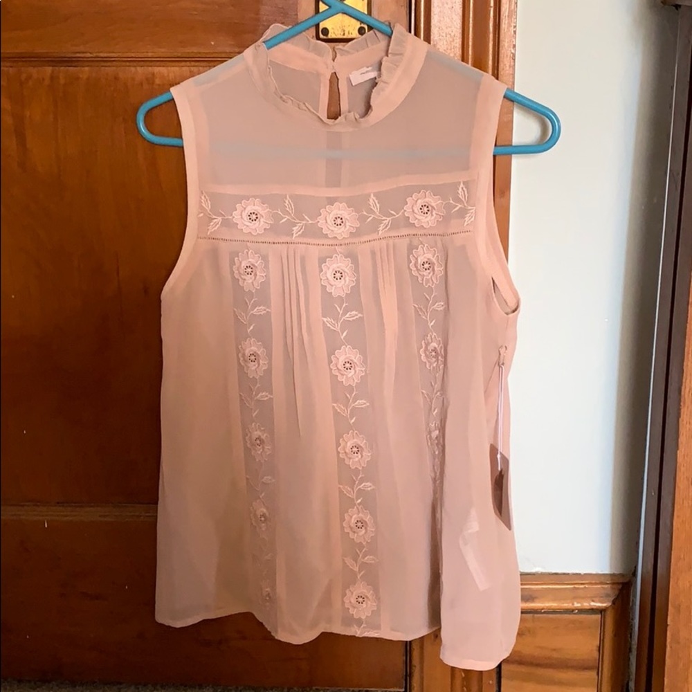 Sheer Blouse